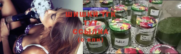 соль ск Алексеевка