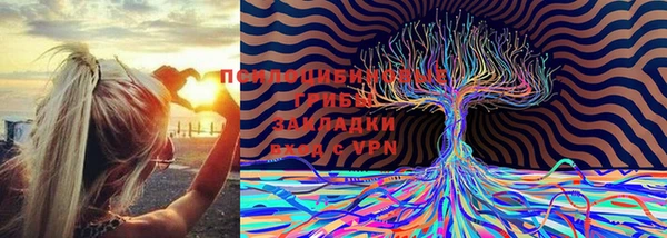 соль ск Алексеевка