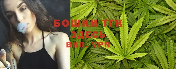 соль ск Алексеевка